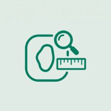 Patient and Wound Assessment CE module icon