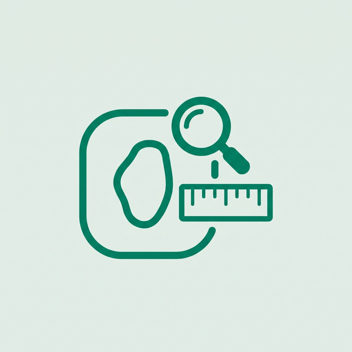 Patient and Wound Assessment CE module icon