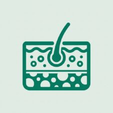 Skin Anatomy and Physiology CE module icon